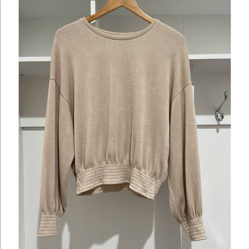 Zara Beige Cropped Top